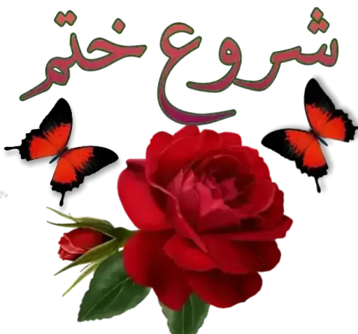 عکس برای گروه ختم قرآن
