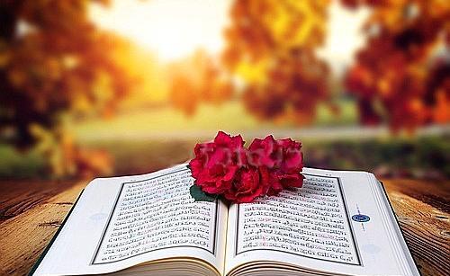 عکس برای گروه ختم قرآن