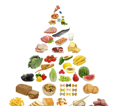 عکس گروه های غذایی