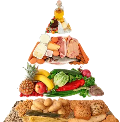 عکس گروه های غذایی