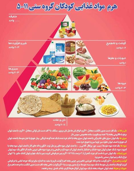 عکس گروه های هرم غذایی