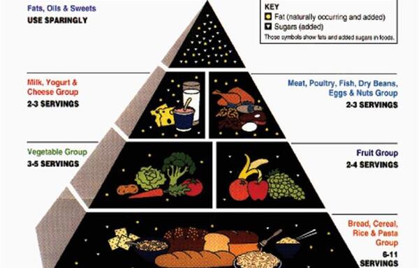 عکس چهار گروه مواد غذایی کلاس سوم