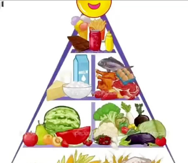 عکس چهار گروه مواد غذایی کلاس سوم