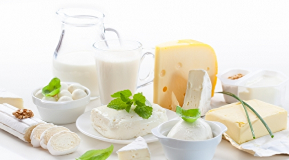 عکس گروه لبنیات در هرم غذایی