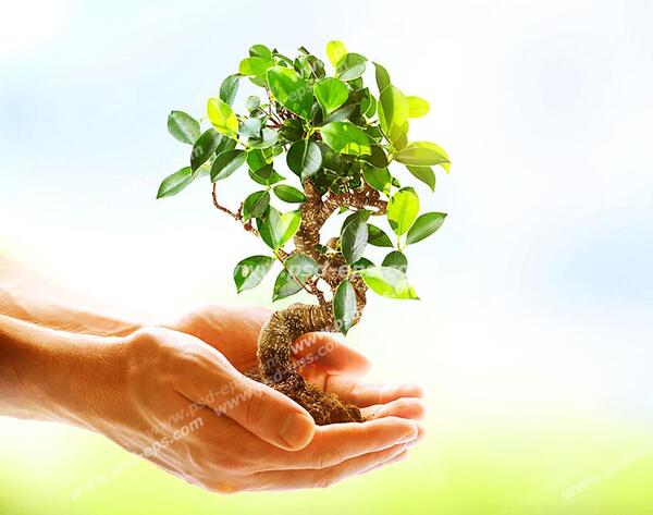 عکس پروفایل برای گروه زیست