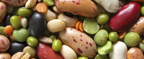 عکس گروه گوشت و حبوبات