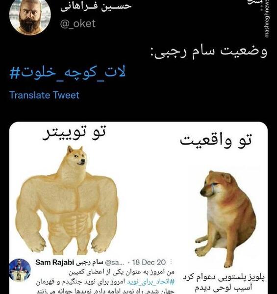 عکس گروه خلوته