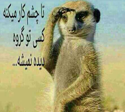 عکس گروه خلوته