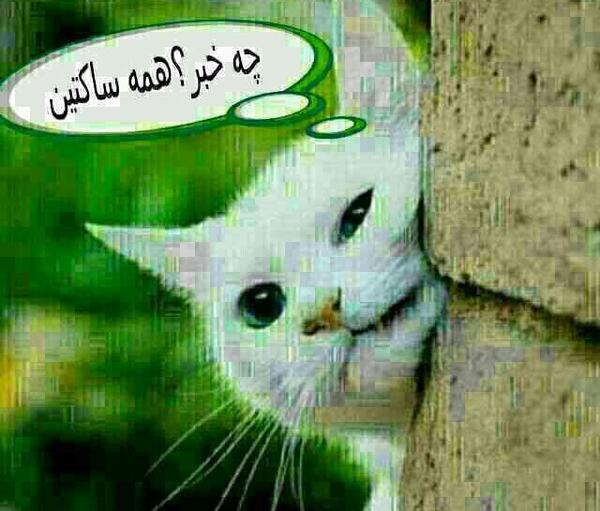 عکس گروه چرا خلوته