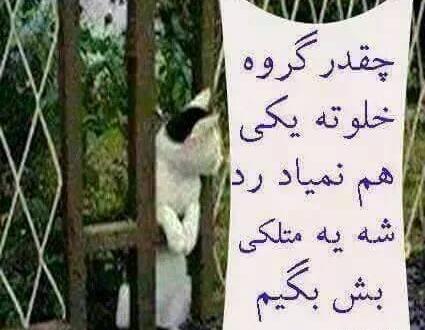 عکس گروه چرا خلوته