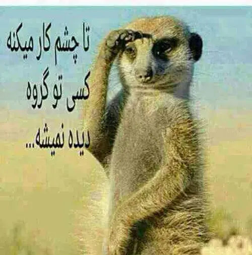 عکس نوشته چقدر گروه خلوته