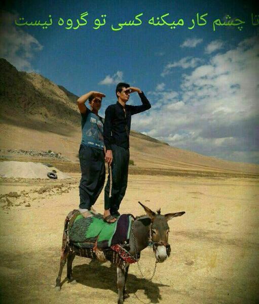 عکس نوشته چقدر گروه خلوته