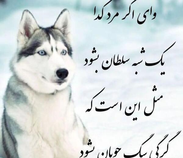 عکس پروفایل گروه چتکده