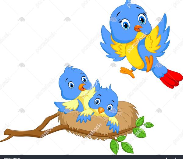 عکس لانه پرنده کارتونی