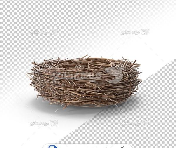 عکس لانه پرنده ها