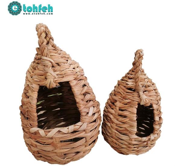 عکس لانه پرنده ها