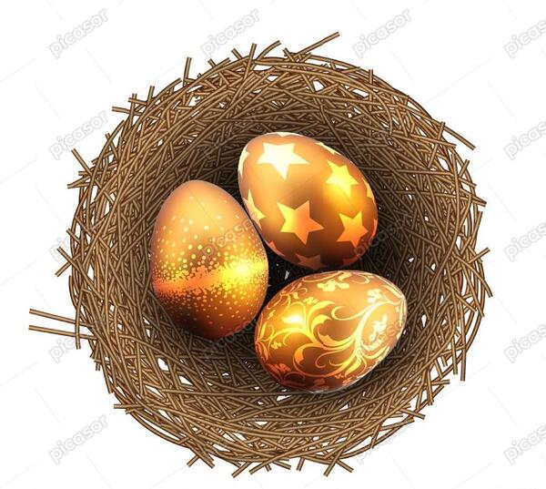 عکس لانه پرنده با تخم