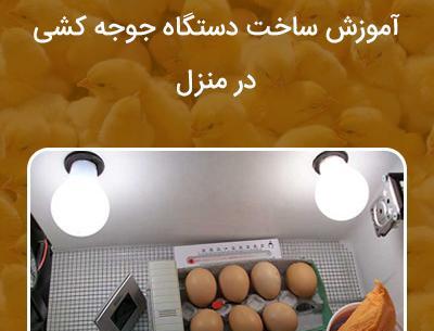 عکس خانه جوجه با کارتون