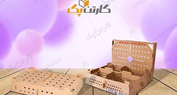 عکس خانه جوجه با کارتون