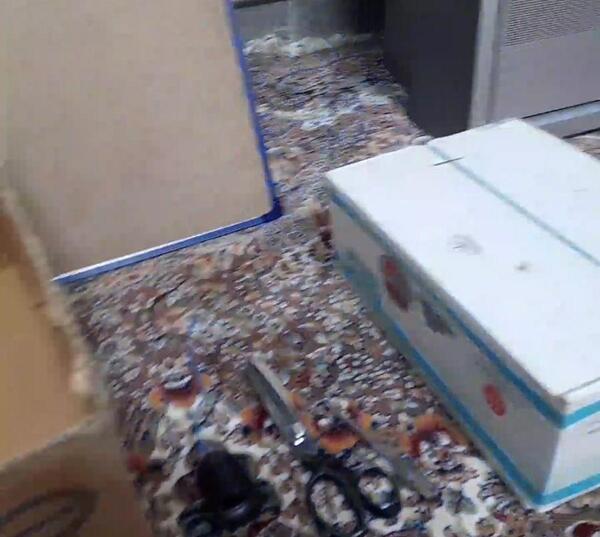 عکس خانه جوجه با کارتون