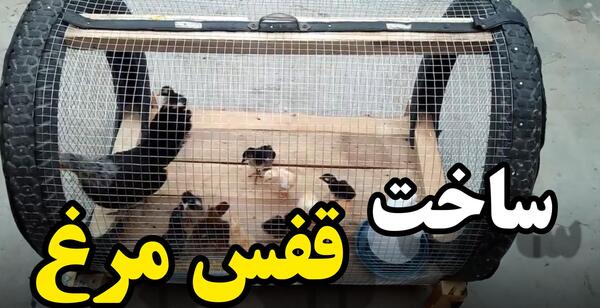 عکس خانه جوجه ها
