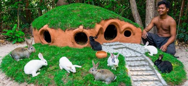 عکس خانه ی خرگوش