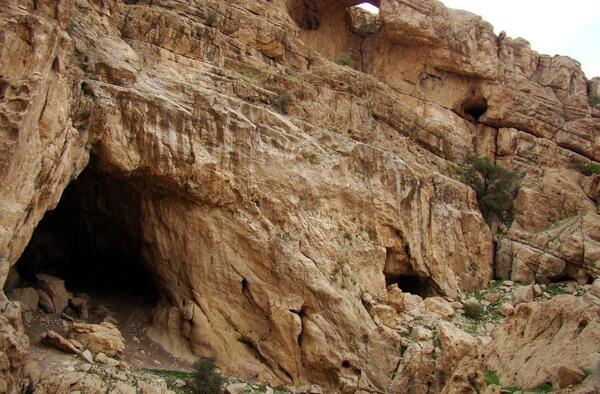 عکس لانه خفاش در غار