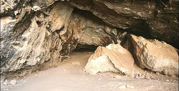 عکس لانه خفاش در غار