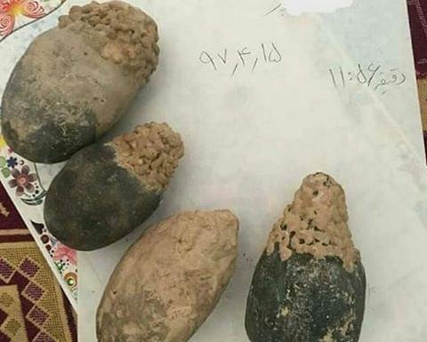 عکس لانه خفاش در غار