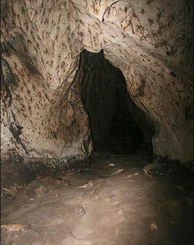 عکس لانه خفاش در غار