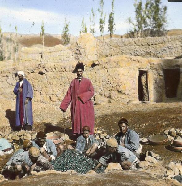 عکس جویندگان علم