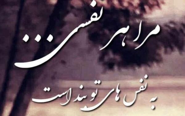 عکس دلجویی از همسر