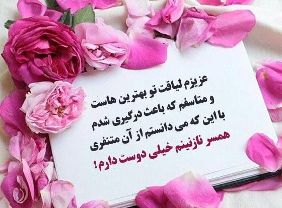 عکس نوشته دلجویی از عشق