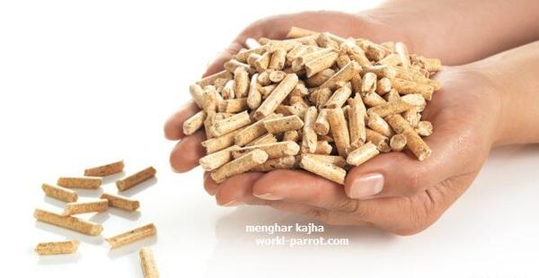 عکس غذای مرغ مینا