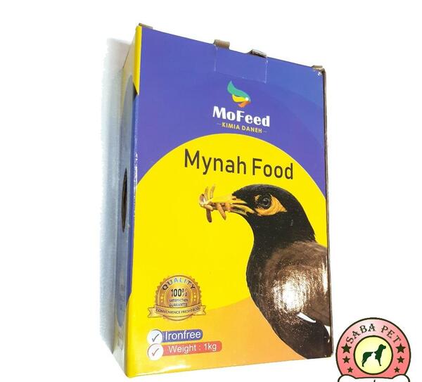 عکس غذای مرغ مینا