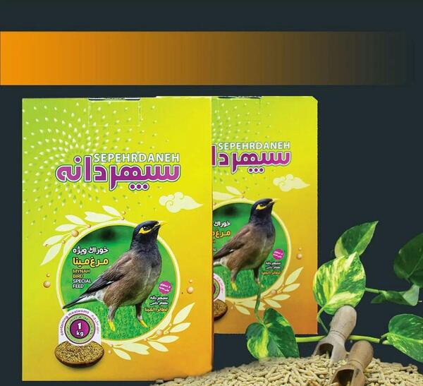 عکس پلت غذای مرغ مینا