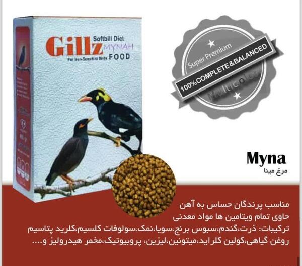 عکس پلت غذای مرغ مینا