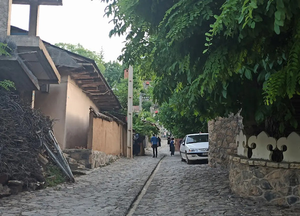 عکس خانه مینا و پلنگ