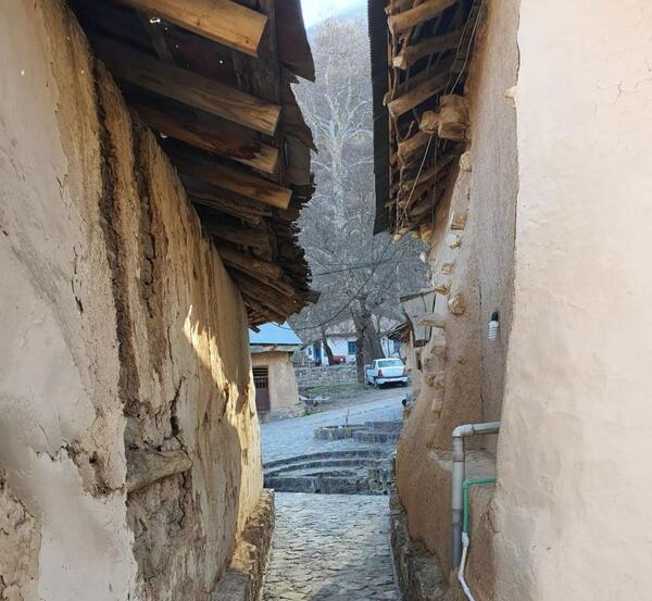 عکس خانه مینا و پلنگ