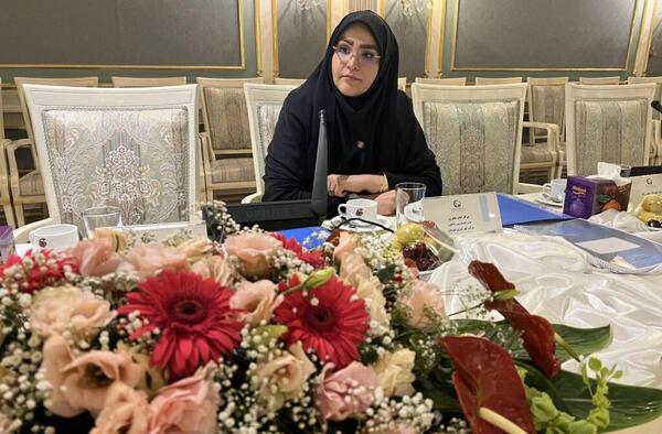 عکس جوانی مینا جعفری