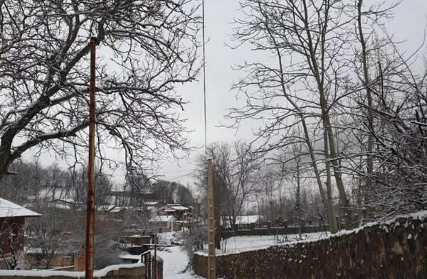 عکس داخل خانه مینا و پلنگ