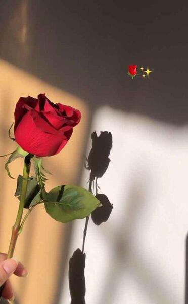 عکس مرسانای خوشگل