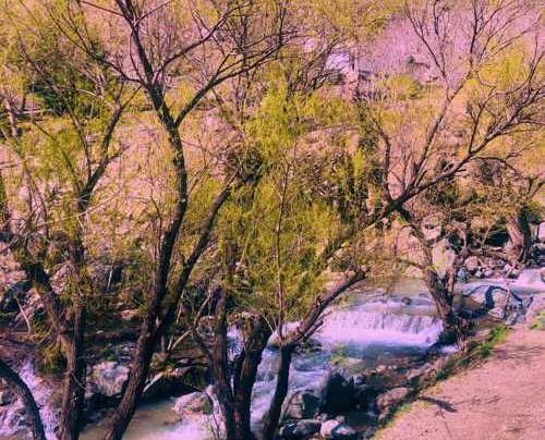 سنا برزنجه عکس سنا برزنجه