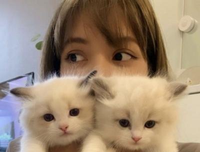 عکس لیسا با گربه اش