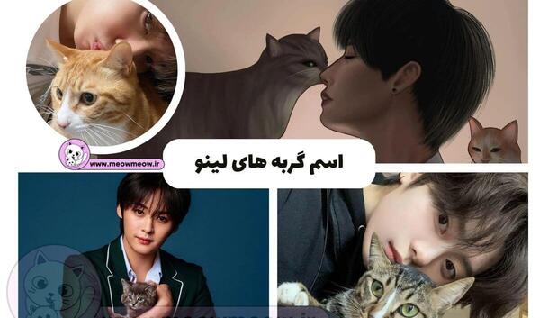 عکس لیسا با گربه اش