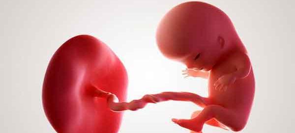 عکس جنین سقط شده دختر نی نی سایت