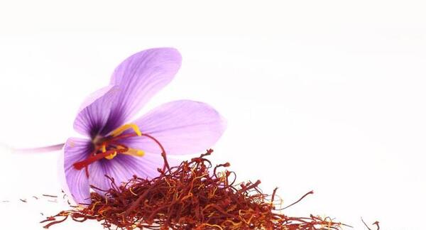 عکس جنین یک ماهه سقط شده نی نی سایت