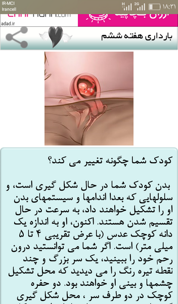 عکس جنین یک ماهه سقط شده نی نی سایت