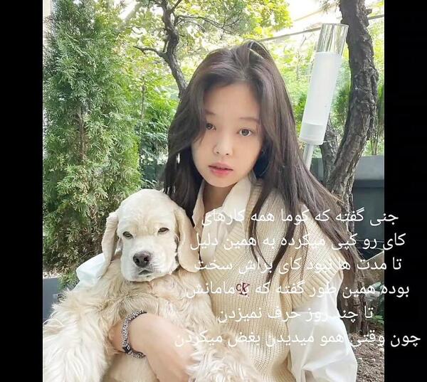 عکس کای سگ جنی