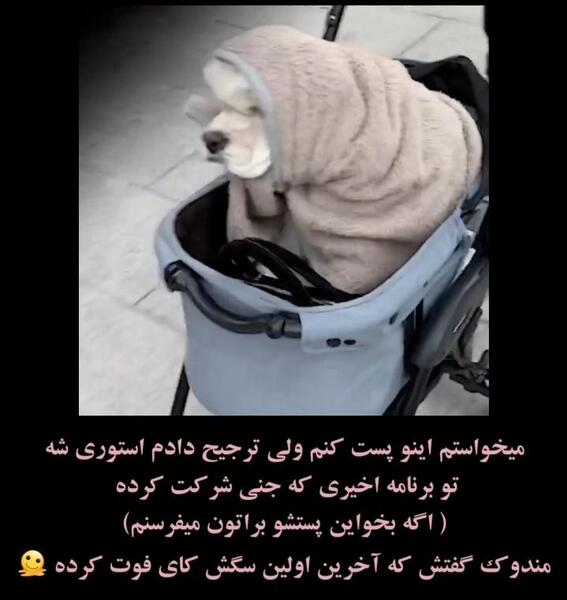 عکس کوما سگ جنی